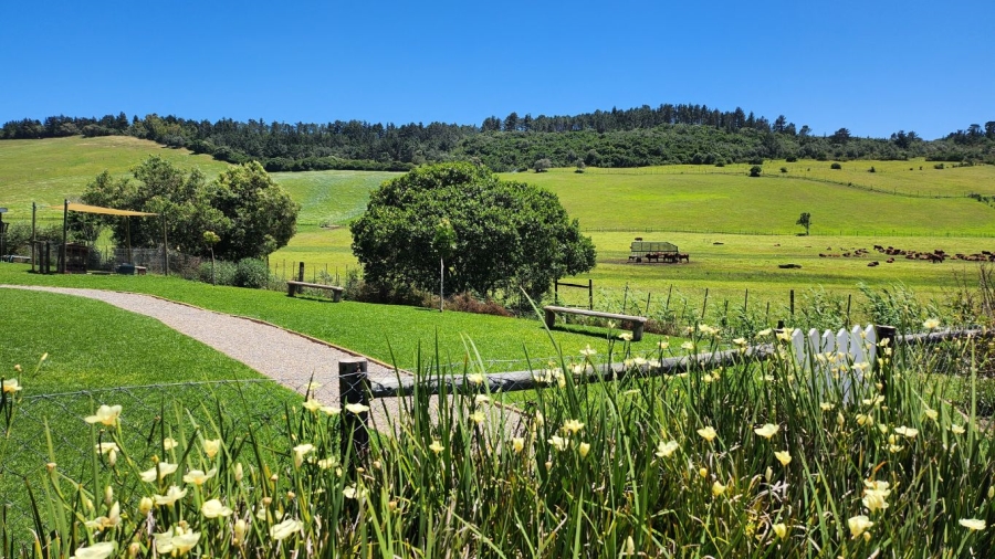 0 Bedroom Property for Sale in Agricultural Holding 318 Western Cape